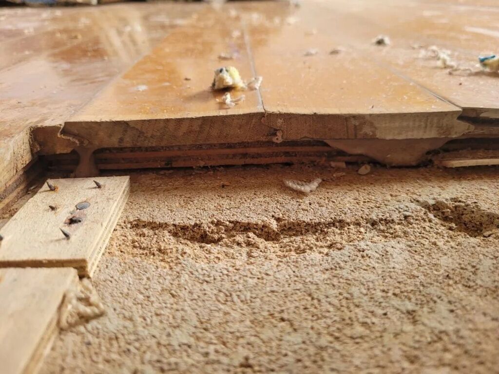 Magnesite Flooring Removal Sydney - Concrete Cancer Repairs Sydney - 1